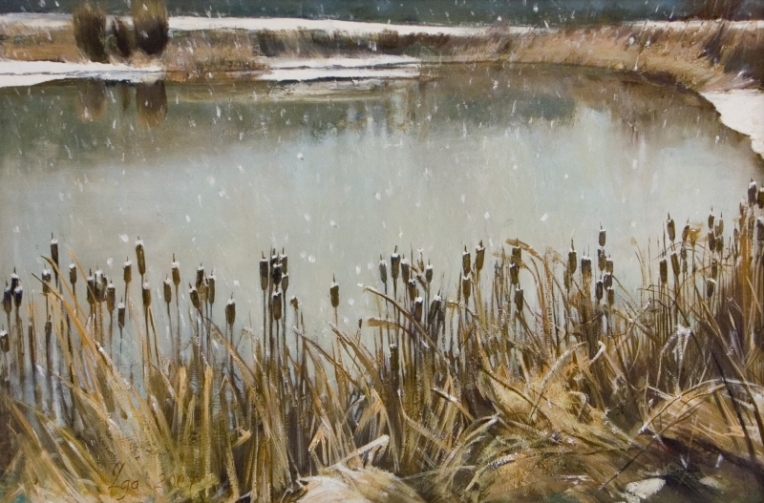 gal/fineart/Landscape/Snow pond.jpg